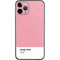 Rose Pink Color Palette iPhone 11 Pro Skin
